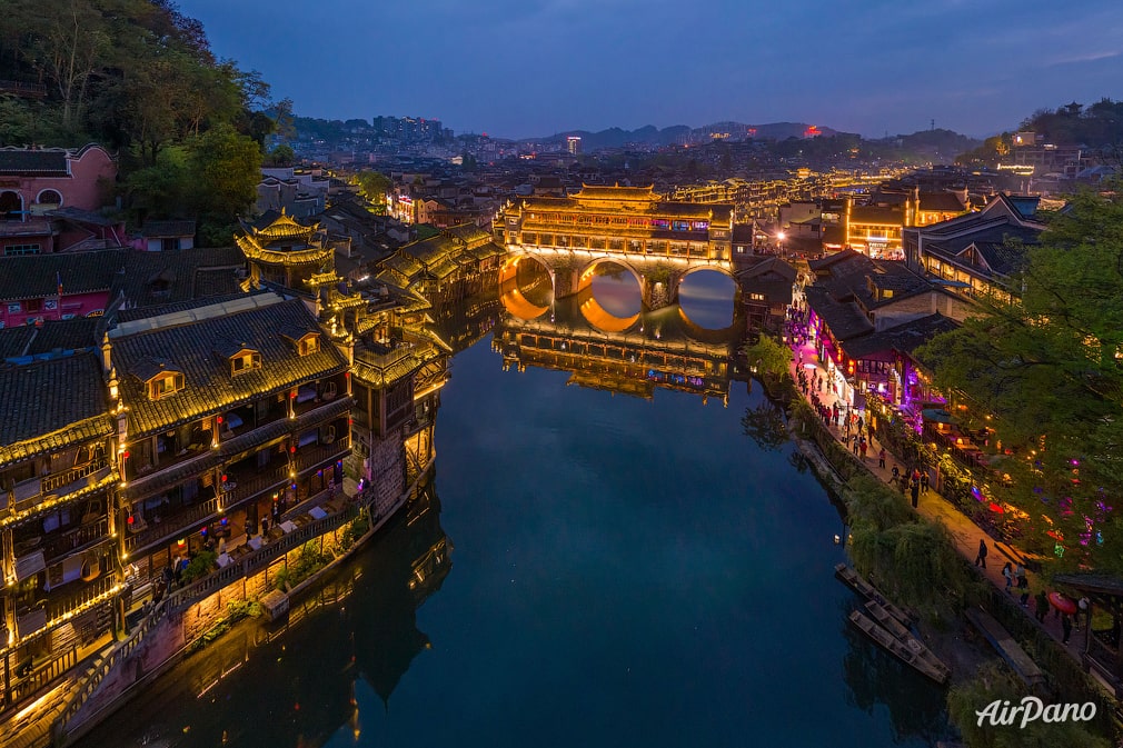 Night Fenghuang