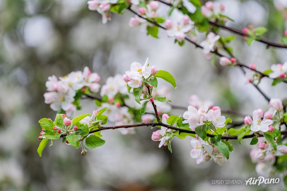 Spring in Moscow