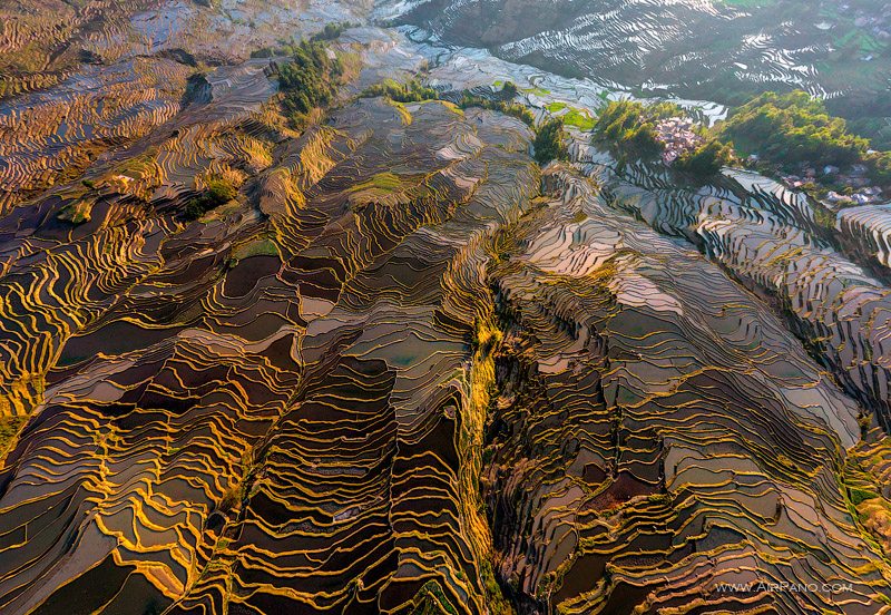 Yuanyang Rice Terraces