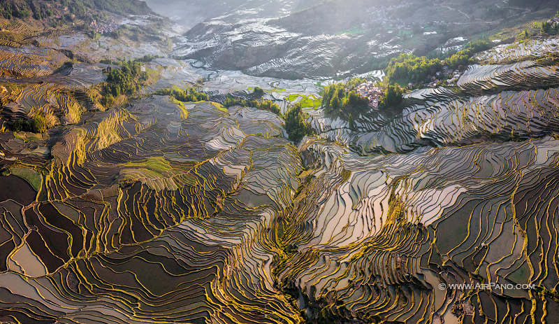 Yuanyang Hani Rice Terraces