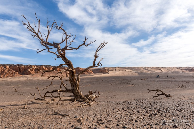 Gobi Desert, Mongolia