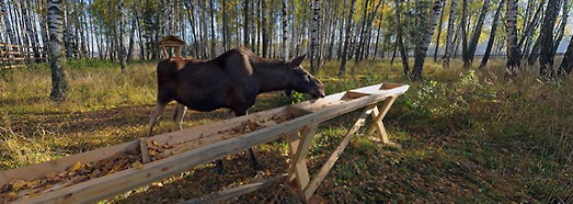 National Park Losiny Ostrov