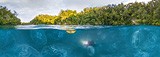 Jellyfish Bay, Raja Ampat, Indonesia. Split Panorama