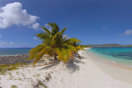 Caribbean Paradise. Tropical Beach Relaxation