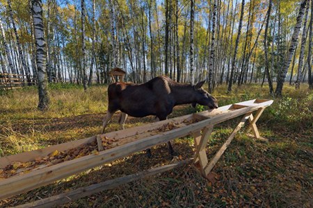 National Park Losiny Ostrov