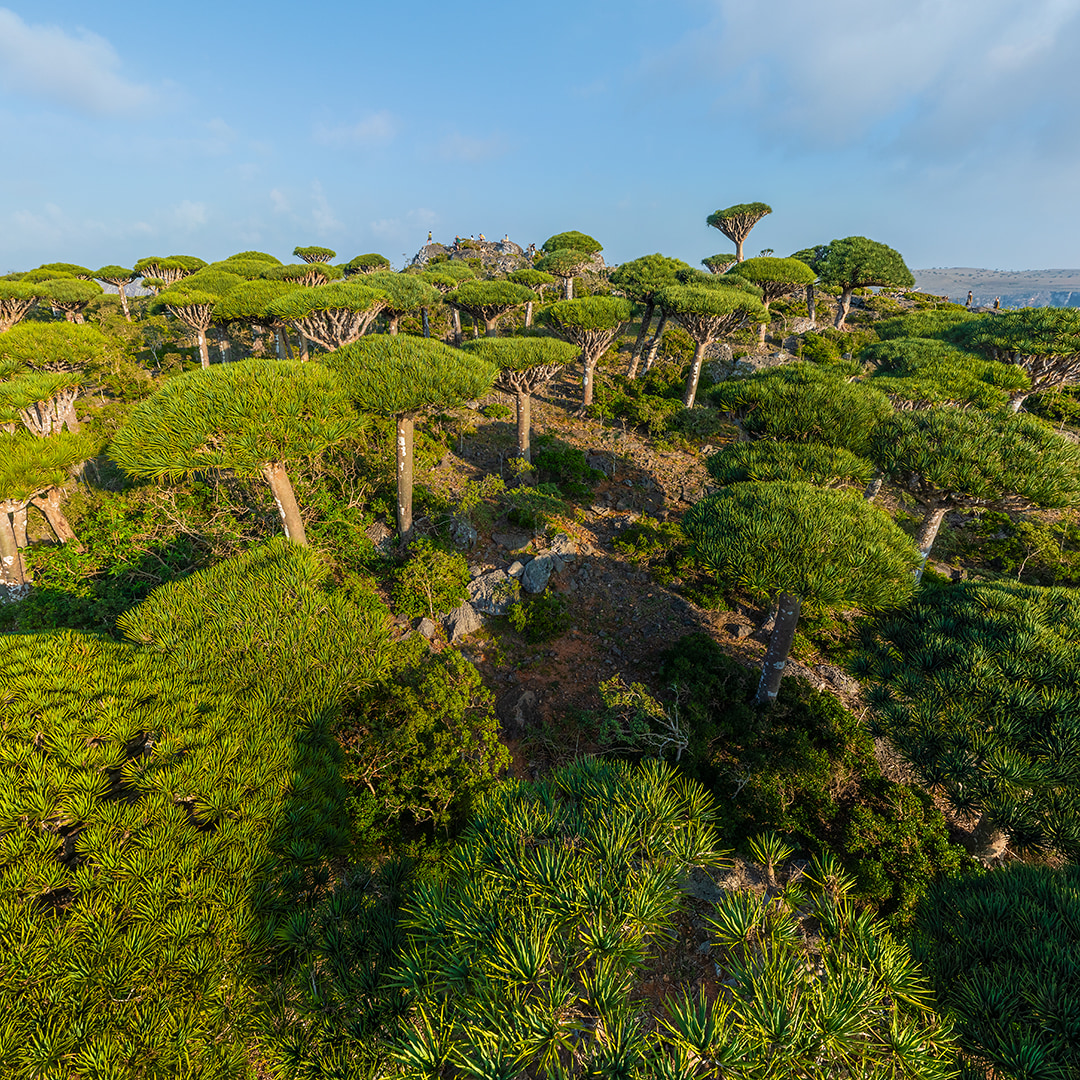 Socotra Island, Yemen. Part II