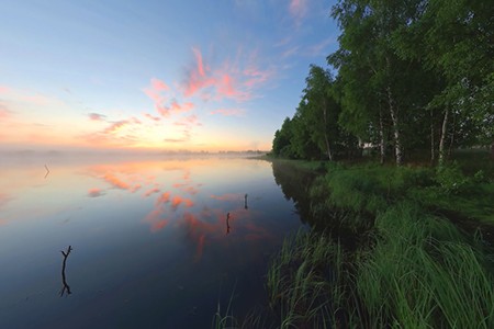 Four Seasons. Spring Forest. Relaxation video