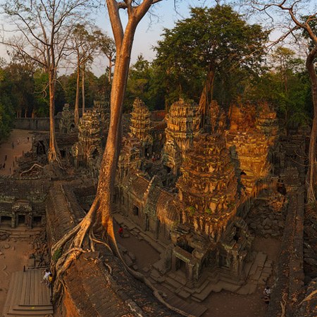 Ta Prohm temple, Angkor, Cambodia