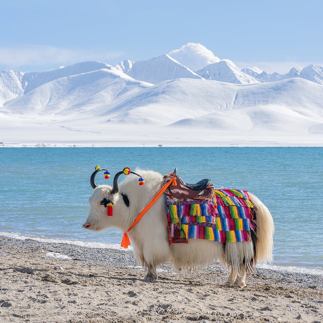 Namtso Lake, Tibet