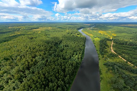 Four Seasons. Summer Forest. Relax Flight