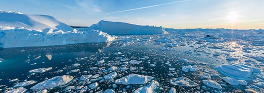 Icebergs of Greenland. Part I