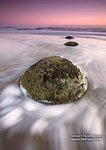 Moeraki boulders #14