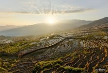 Samaba Terraces at dawn