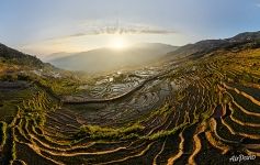 Samaba Terraces at dawn