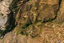 Terraces near Dapu village Terraces near Dapu village