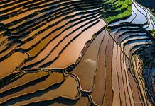 Yuanyang rice terraces #23