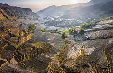 Yuanyang rice terraces #7