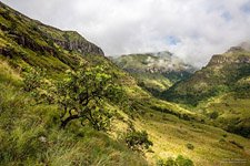 Drakensberg #9