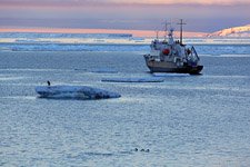 Polar Pioneer expedition ship #8