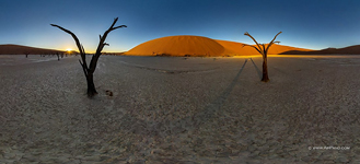 Dead acacia trees in Deadvlei Dead acacia trees in Deadvlei