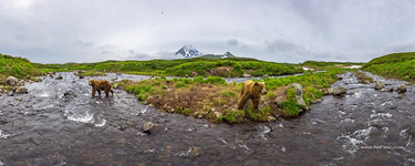 Panorama of the Kambalnaya River