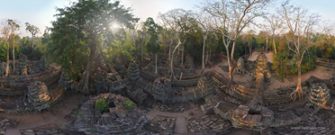 Ta Prohm temple, Angkor, Cambodia #8