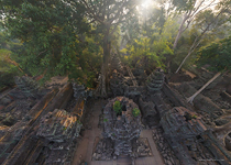 Ta Prohm temple, Angkor, Cambodia #2