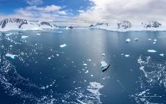 Antarctica #5 Antarctica #5