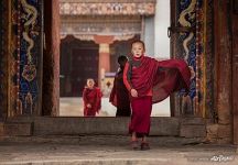 Young monks, Gangtey Gonpa