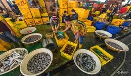 Jakarta Fish Market Jakarta Fish Market