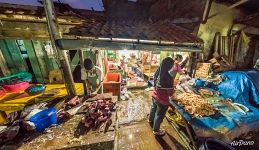 At the fish market in the evening At the fish market in the evening