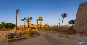 At the entrance of the Luxor Temple