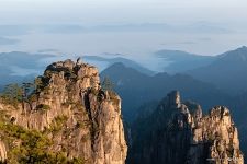 Stone Monkey Gazing Over the Sea of Clouds