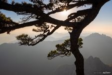 In Huangshan mountains