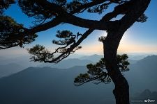 In Huangshan mountains