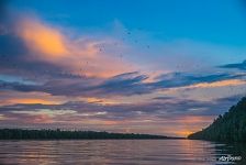 Sunset in the Delta of Orinoco River