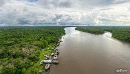 Jungle and the river