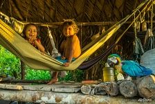 Children and parrot