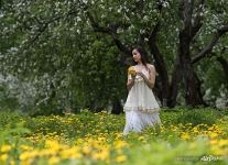 In the Dyakovsky Apple Orchard