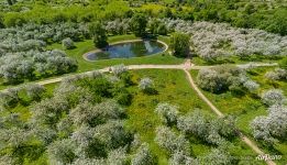 Dyakovsky Apple Orchard