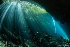 Pit Cenote, Mexico Pit Cenote, Mexico
