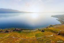 Lake Geneva. Vineyards