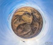 Shoubak Castle. Planet