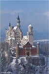 Neuschwanstein Catle in the winter #4