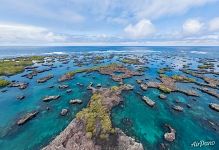 Near Cabo Rose, Isabela Island