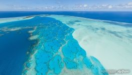 French Polynesia