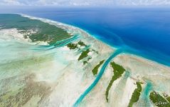 Little islands of Aldabra