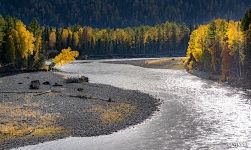 Bends of the Koksa River