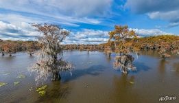 Autumn on the lake in Texas