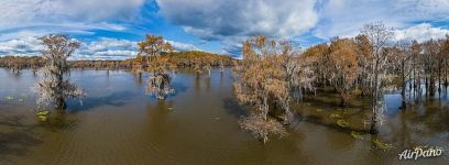 Autumn on the lake in Texas. Panorama